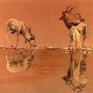 Thumb Drei Kudus am Wasserloch